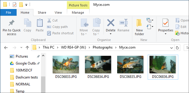 Folder with copied pictures