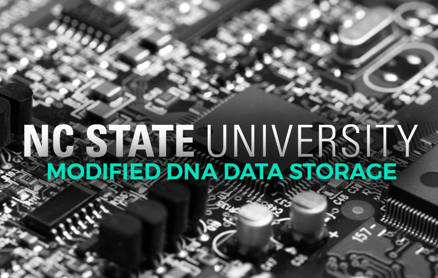 Modified DNA Data Storage