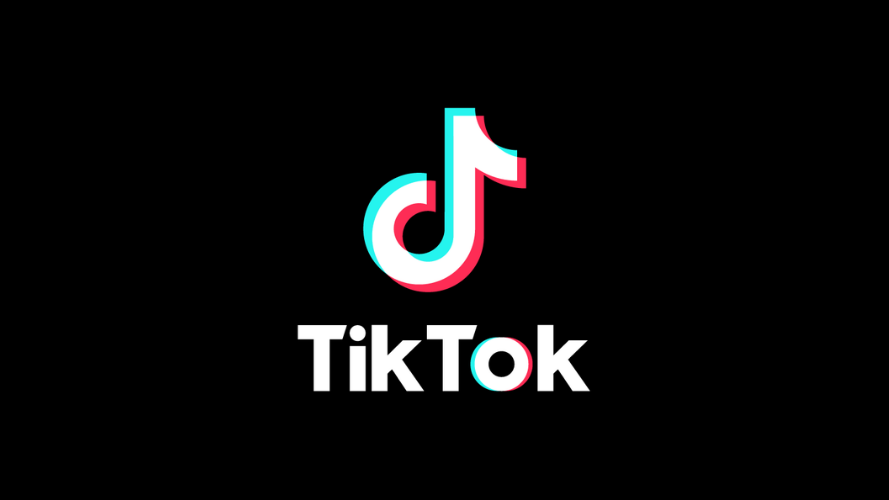 Check Out TikTok's Most Popular Videos
