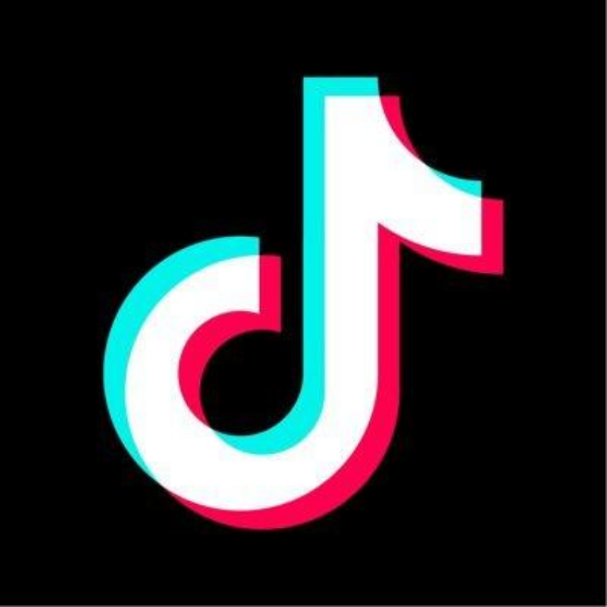 Discover These 20 Most Followed Profiles on TikTok