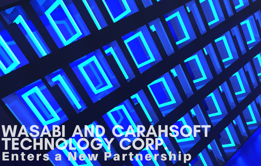 Carahsoft and Wasabi Gov’t Storage Market