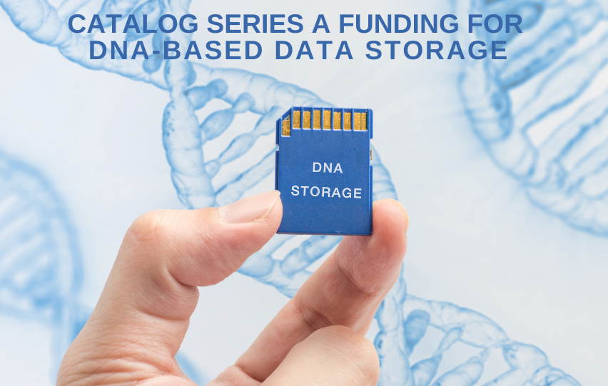 Catalog DNA-Based Data Storage