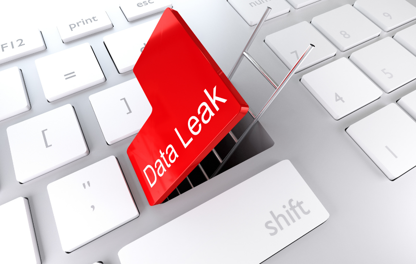 Digital Point Webmaster Data Leaks