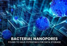 Bacterial Nanopores Potentials for Data Storage