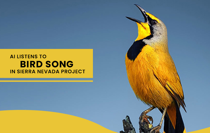 Sierra Nevada Project AI Listens to Bird Song